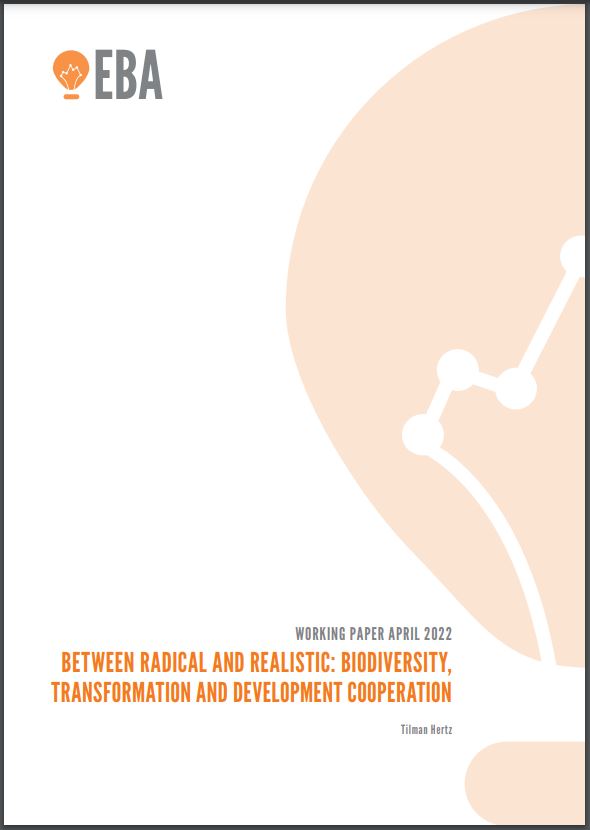 Image of the front cover of the report "Between Radical and Realistic: Biodiversity, Transformation and Development Cooperation".