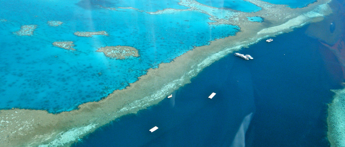 Picture of Great Barrier Reef