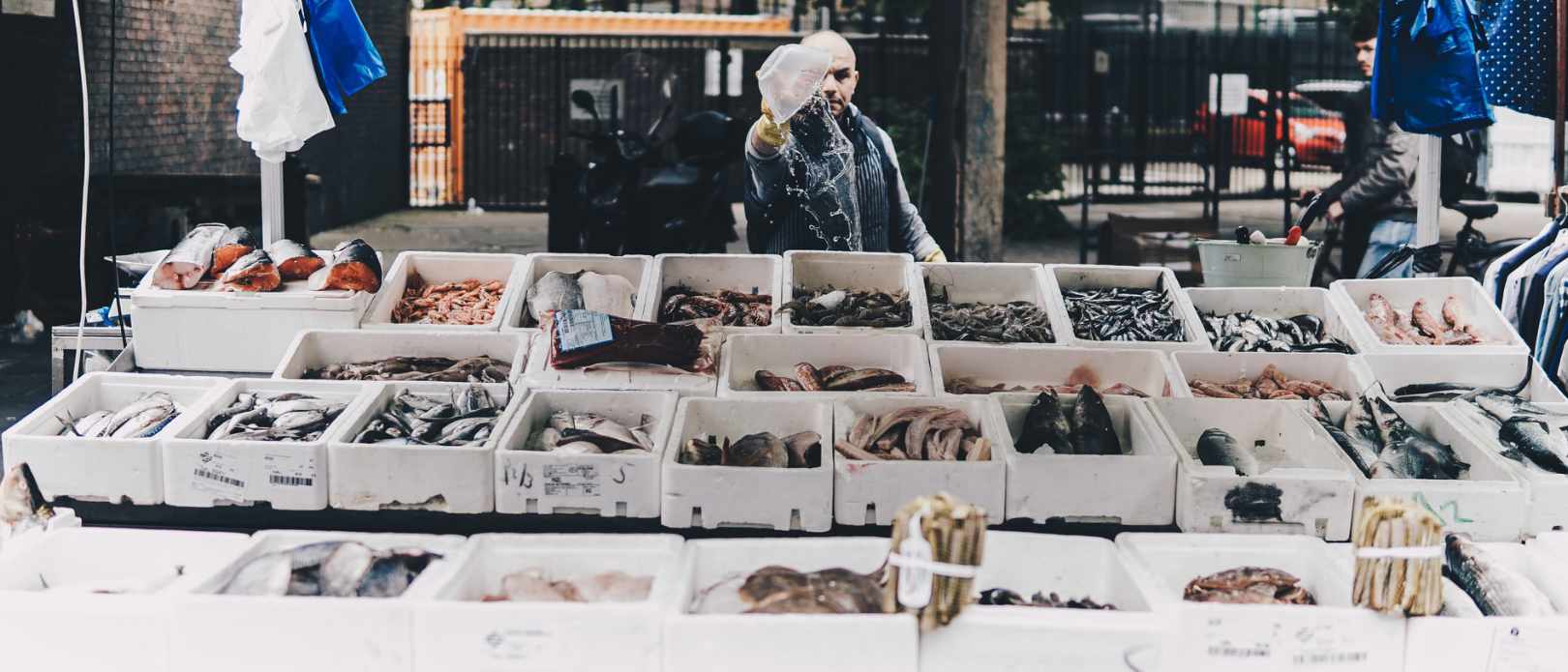  Man standing behind stall selling various fish.