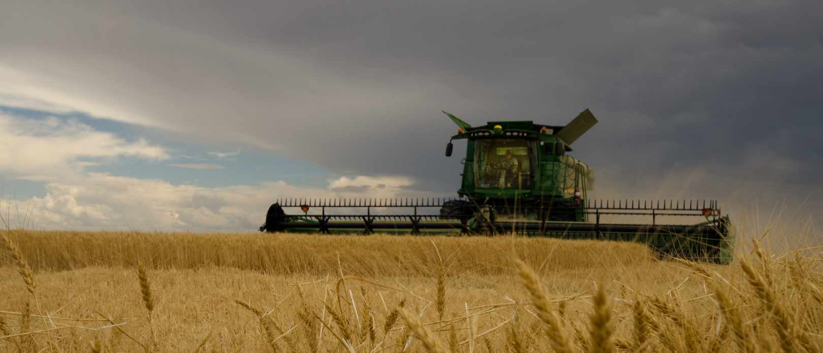 A green combine harvester on a field under dark clouds