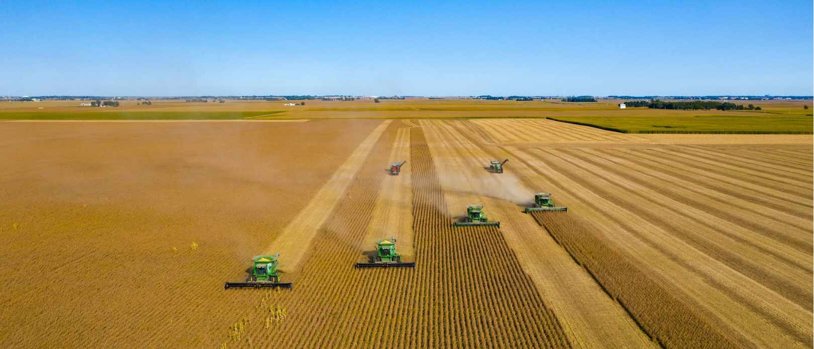 Six green harvesters moving across large agricultural field. 