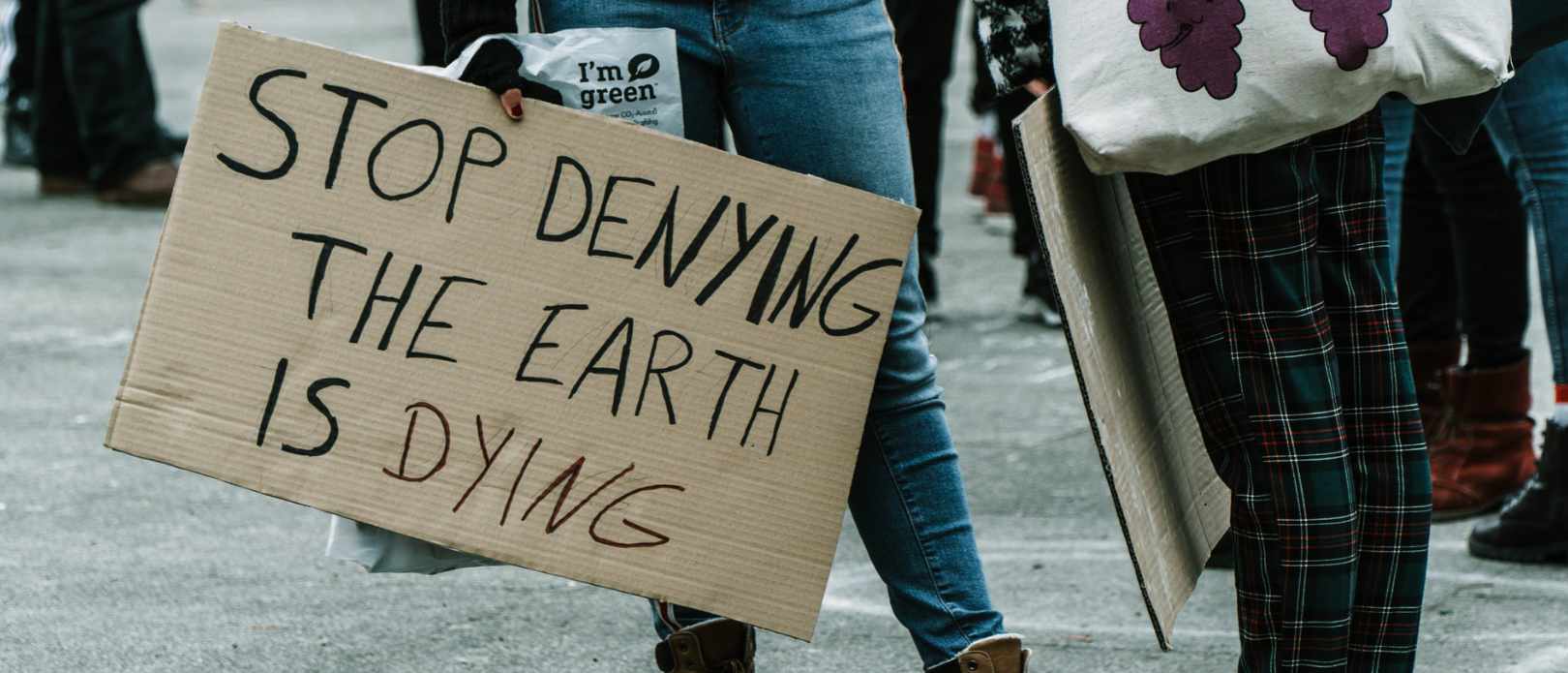 Person holding a brown wooden board with the message Stop denying the earth is dying.