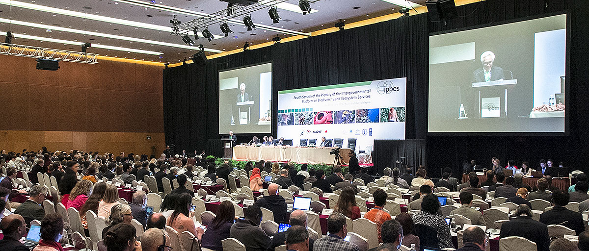 The new Intergovernmental Platform on Biodiversity and Ecosystem Services (IPBES), is breaking new ground in how research on social-ecological systems is assessed and how knowledge from different cultures is assimilated. Photo: IISD Reporting Services